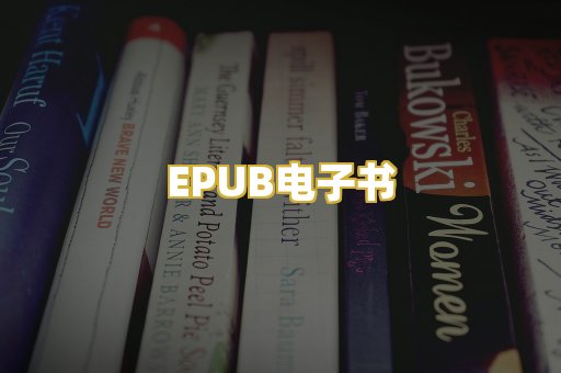 EPUB电子书